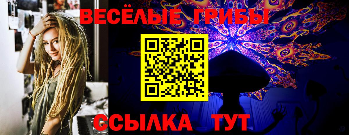 Псилоцибиновые грибы мухоморы  Вход с VPN  Всеволожск  Галлюциногенные грибы GOLDEN TEACHER 
